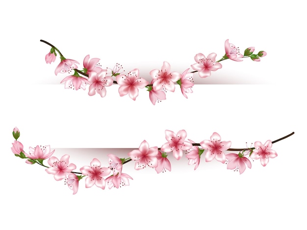 Japanese cherry branches text frame vector illustration Blooming twigs isolated springtime