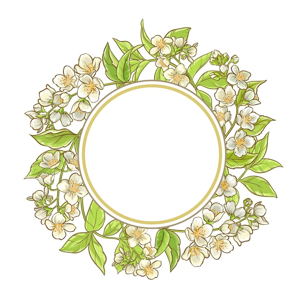 jasmine branch vector frame on white background