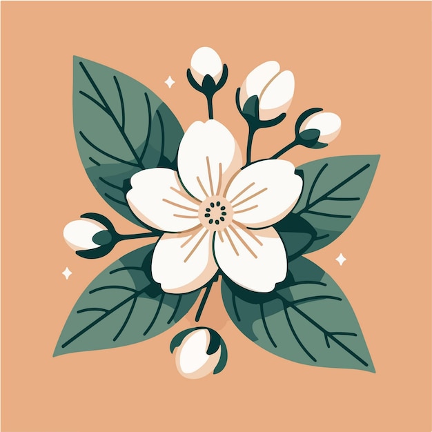 jasmine flower houseplant flat design