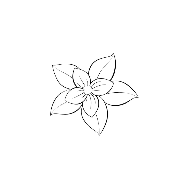 Jasmine flower vector line art illustration