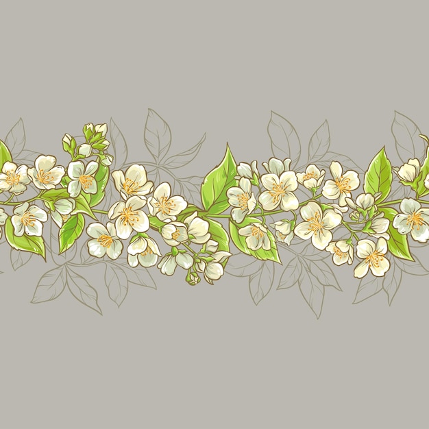 Jasmine seamless pattern