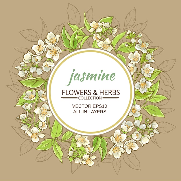 Jasmine vector frame