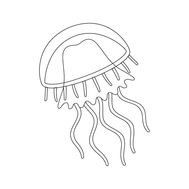 Jellyfish black and white line art illustration art therapy coloring page