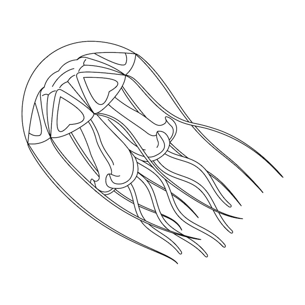 Jellyfish black and white line art illustration art therapy coloring page