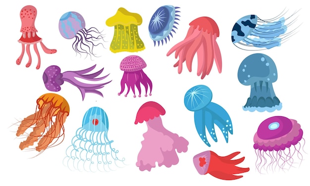 Jellyfish cartoon isolated medusa and biology jelly fish Purple marine set and water life animal