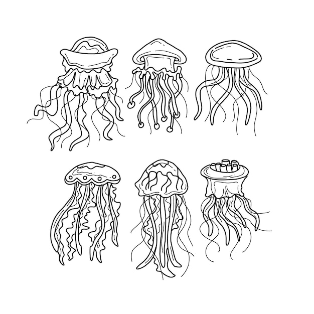 Jellyfish handrawn doodle illustrations vector set