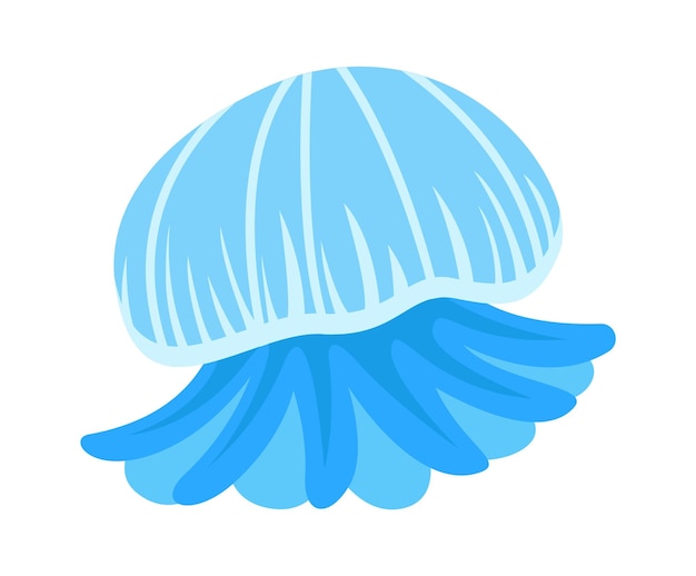 Jellyfish sea animal Vector illustration