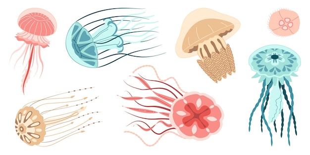 Jellyfish trendy flat style vector set