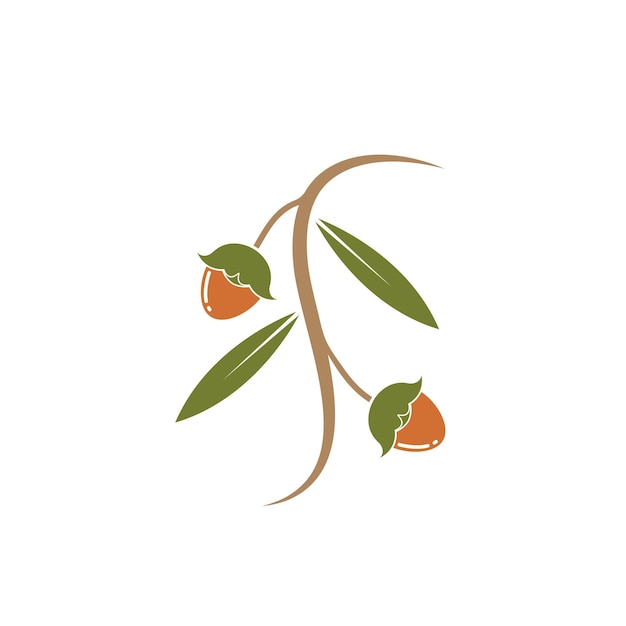 Jojoba nuts vector illustration design template