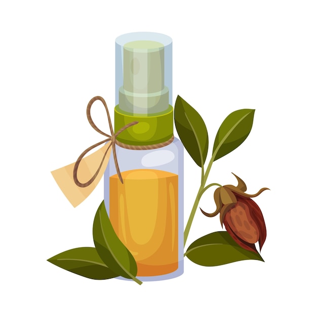 Vector jojoba oil bottle with label and jojoba branch next to it vector illustration aroma treatment concept