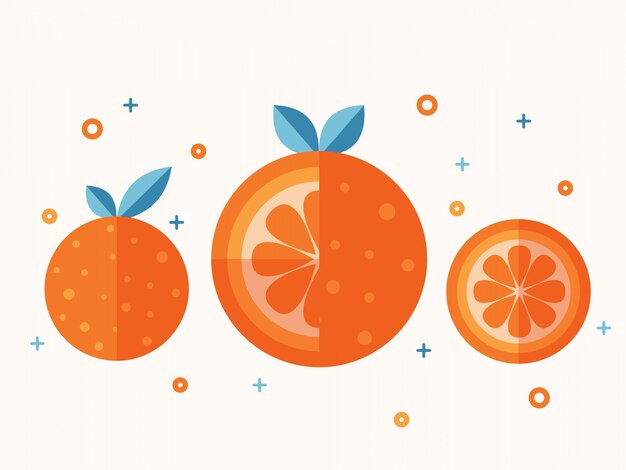 Vector jucy orange fruit flat vector set.