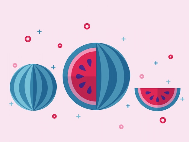 Jucy Watermelon Fruit flat vector set.