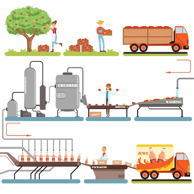 Juice production process stages, factory producing apple juice from fresh apple  Illustrations  on a white background