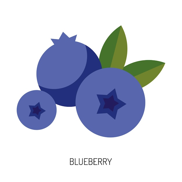 Juicy blueberry berry isolated on a white background Vector illustration of berries for design