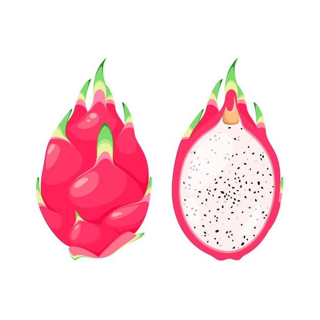 Juicy dragon fruit on a white background. Cartoon design.