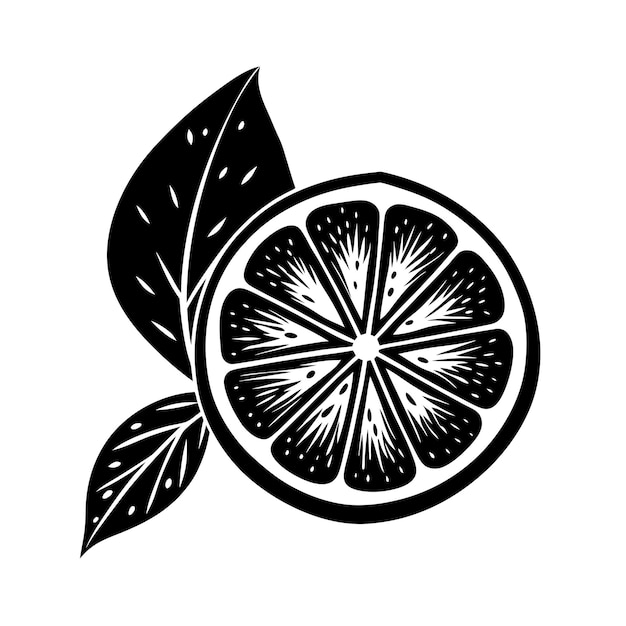 Juicy Lime Slice Vector Illustration Fun Black and White Coloring vector illustration