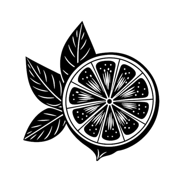 Juicy Lime Slice Vector Illustration Fun Black and White Coloring vector illustration