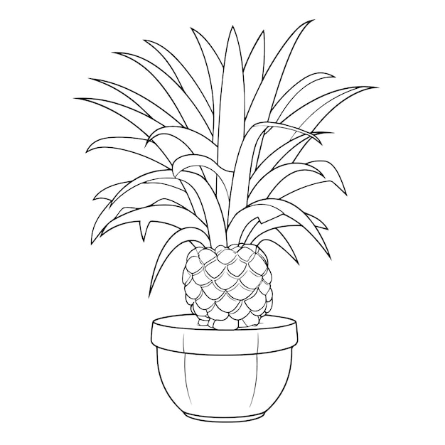 Juicy pineapple outline icon in vector format for tropical designs