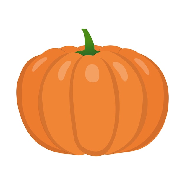 Juicy pumpkin on a white background in a cartoon style