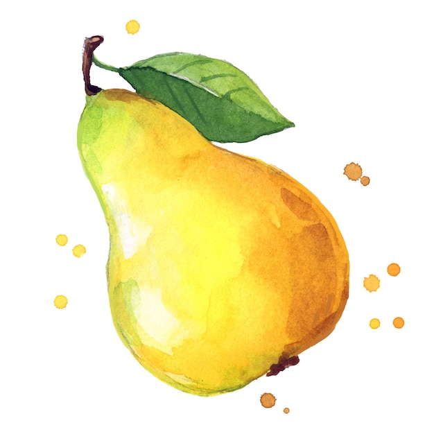 juicy ripe yellow sweet pear watercolor ilustration