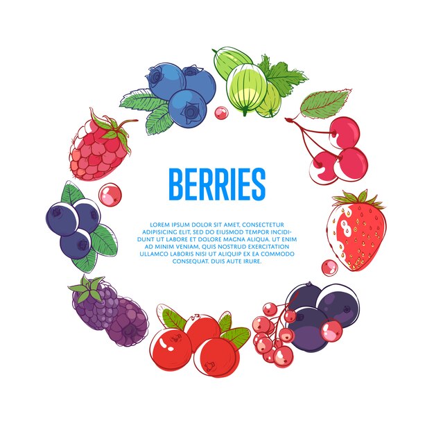 Vector juicy and sweet berries round frame