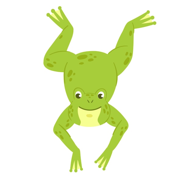 Vector jumping cute green frog