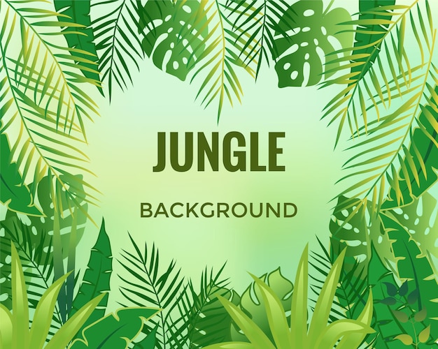 Jungle background Trees and plants Vector illustration