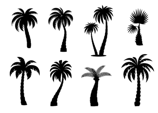 Vector jungle coconut palm trees silhouettes vector set