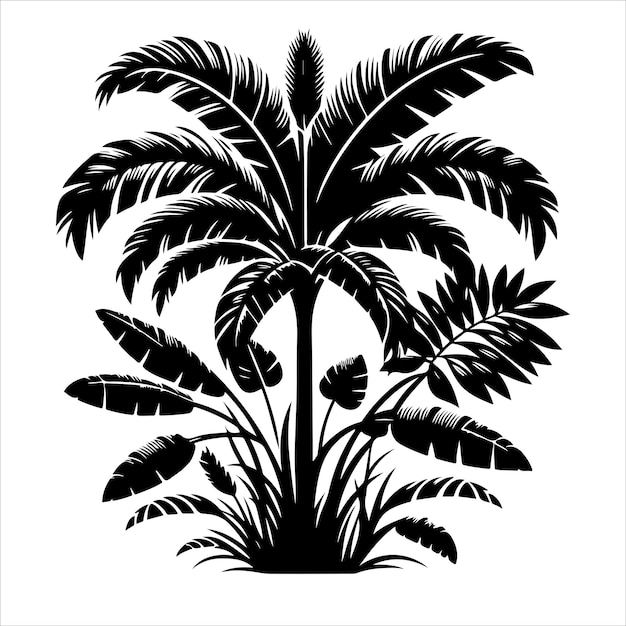 Jungle plant vector Interior plant or indoor tree silhouettes vector