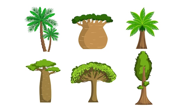 Jungle Trees and Palms Set Tropical Forest Plants Vector Illustration