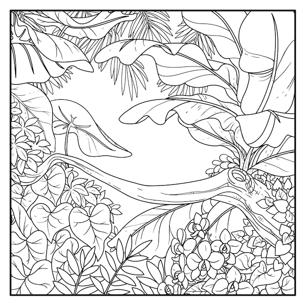 Jungle with with orchid flowers black contour line drawing for coloring on a white background