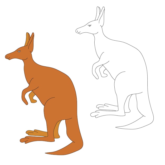 Kangaroo Clipart Set Cartoon Wild Animals Clipart Set for Lovers of Wildlife