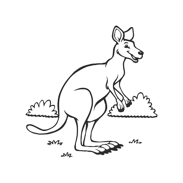 Kangaroo coloring pages Kangaroo animal outline for coloring book