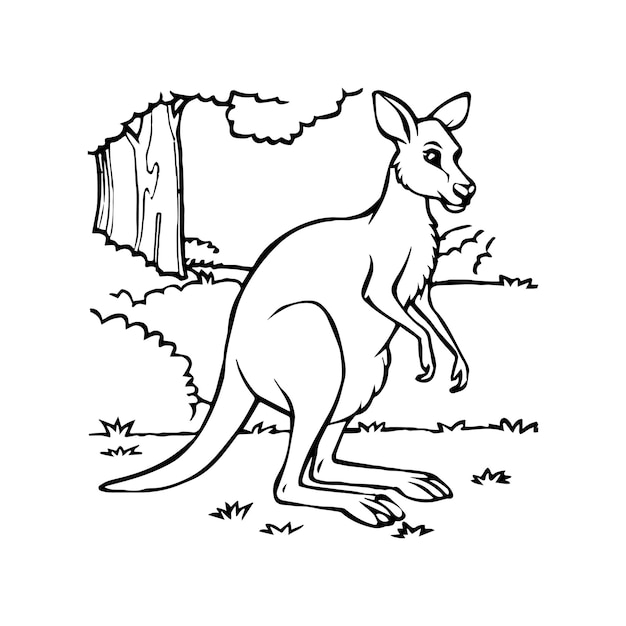 Kangaroo coloring pages Kangaroo animal outline for coloring book