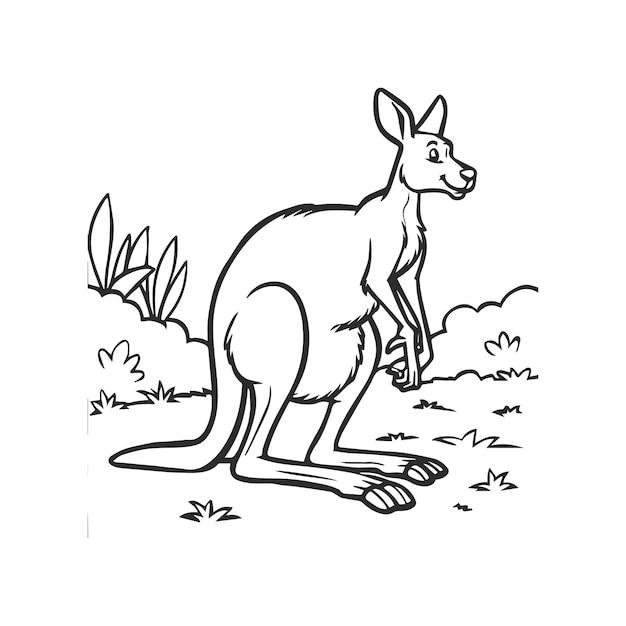 Kangaroo coloring pages Kangaroo animal outline for coloring book