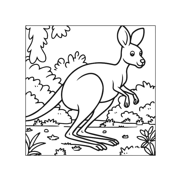 Kangaroo coloring pages Kangaroo animal outline for coloring book