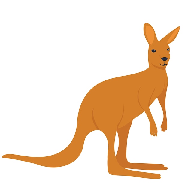 Kangaroo flat design isolated vector