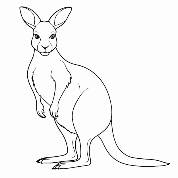 Vector kangaroo full view vector illustration line art