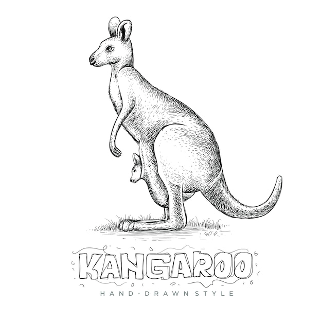 kangaroo holding his child, an illustration of a hand drawn animal