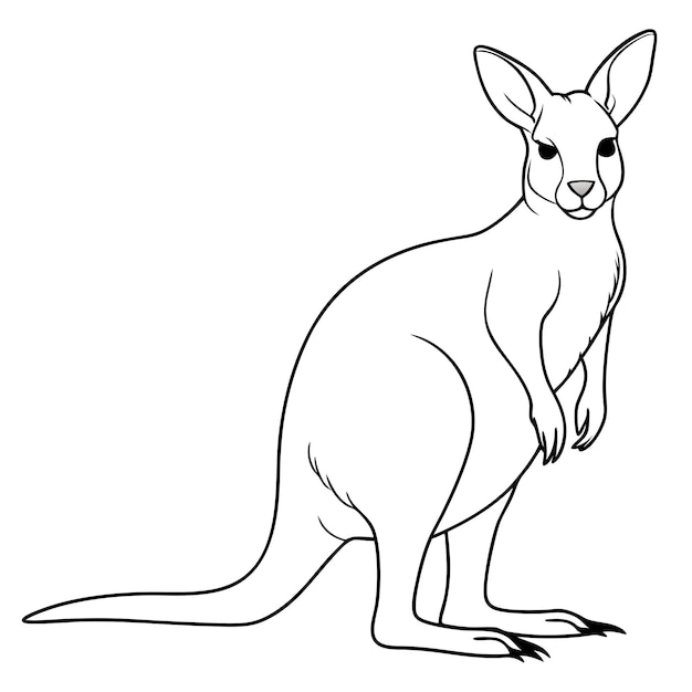 Vector kangaroo line art vector