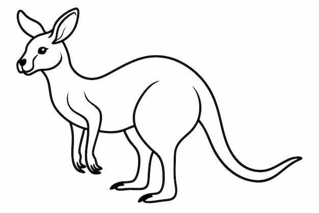 Vector kangaroo line art