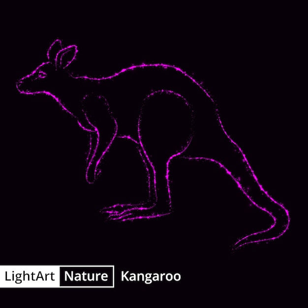 Kangaroo silhouette of lights on black background