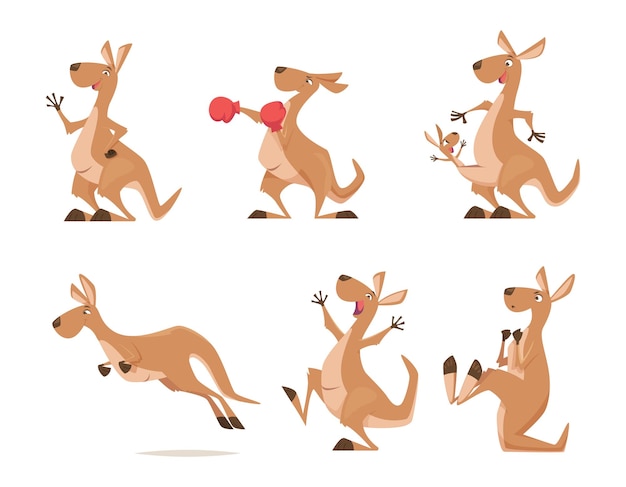 Kangaroo Tropical wild animal kangaroo from australia exact vector cartoon funny characters isolated