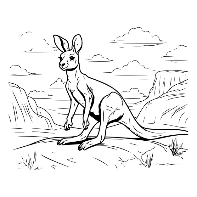 Kangaroo vector illustration Hand drawn sketch of kangaroo