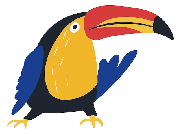 Keel billed toucan exotic parrot avian bird vector