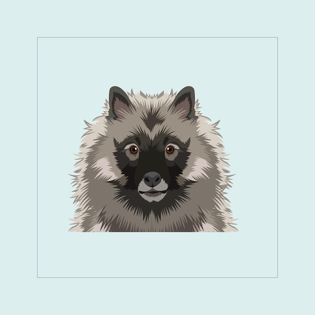 Keeshond Dog head illustration vector