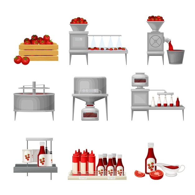 Vector ketchup manufacturing process with tomato harvesting washing and squeezing vector illustration set