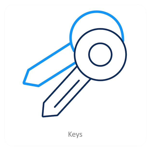 Vector keys icon