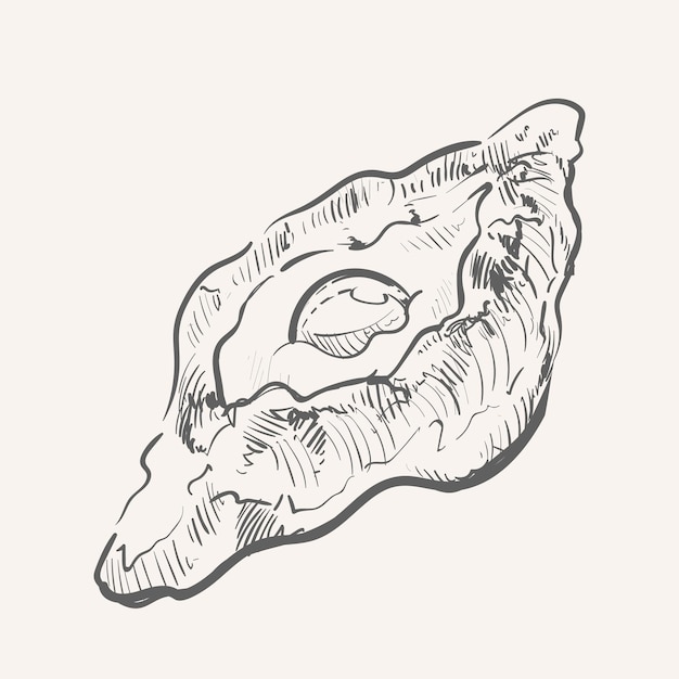 Khachapuri v sketch hand drawn vector illustration