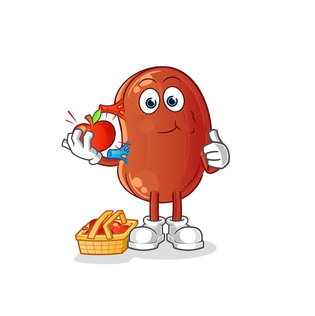 Kidney eating an apple illustration character vectorxA